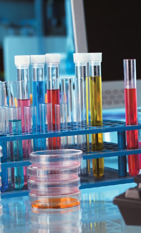 Test tubes with colorful liquids in lab