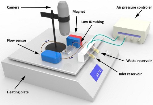 Understanding Fluidization with AIRSLIP™ | Flow Technology for Modern Industry