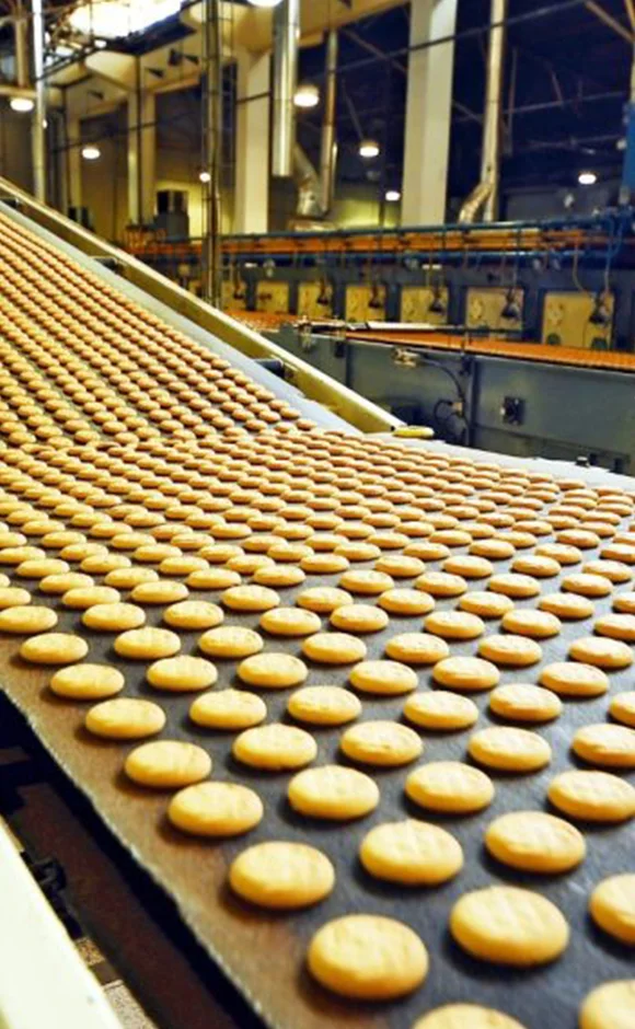 Biscuits on industrial conveyor line